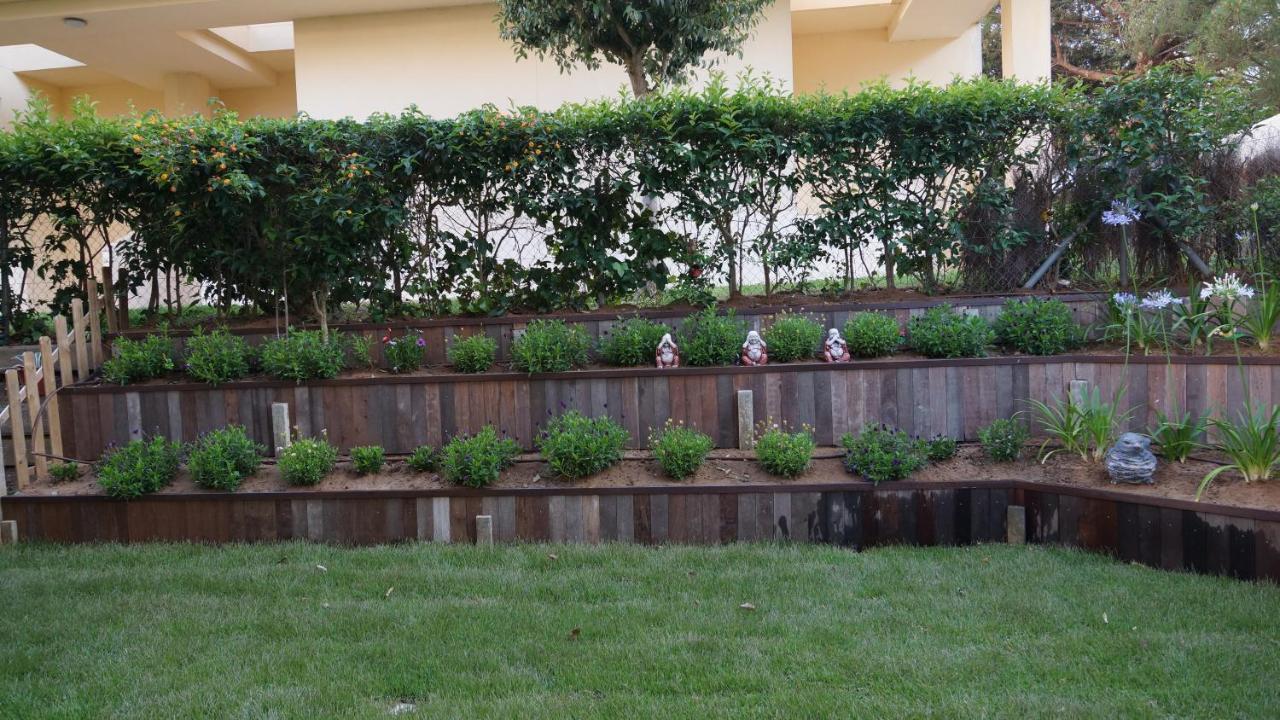 Lujo Duplex: Beachfront Garden Retreat with Pool Los Canos De Meca Exterior photo